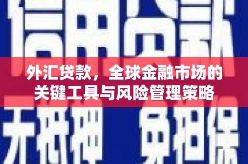 宜章外汇贷款，全球金融市场的关键工具与风险管理策略