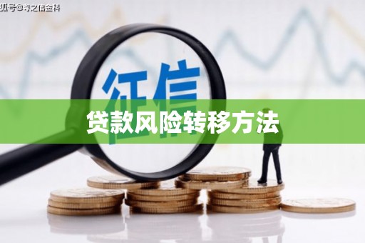 宜章贷款风险转移方法