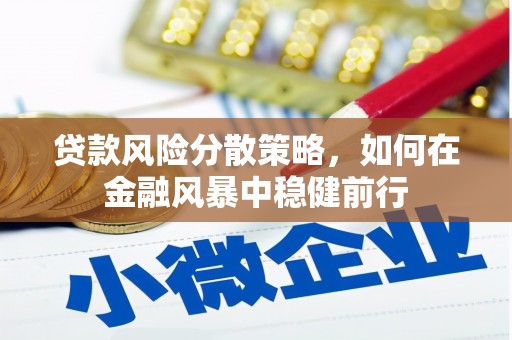 宜章贷款风险分散策略，如何在金融风暴中稳健前行