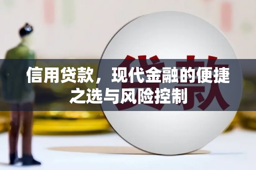 宜章信用贷款，现代金融的便捷之选与风险控制