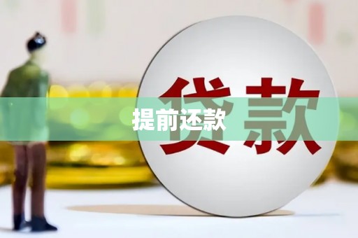 宜章提前还款
