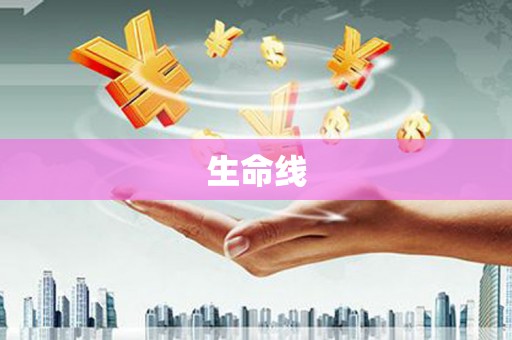 宜章生命线