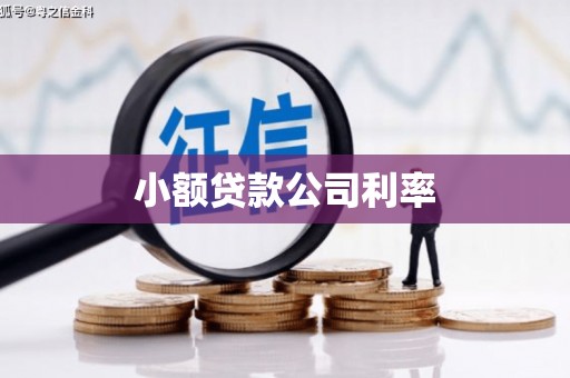 宜章小额贷款公司利率