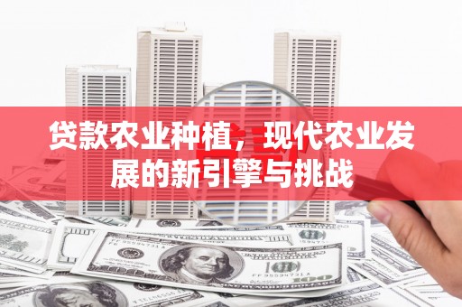 宜章贷款农业种植，现代农业发展的新引擎与挑战