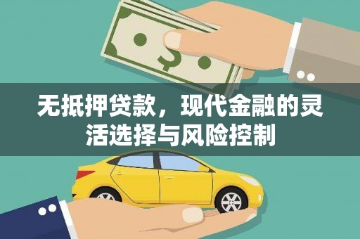宜章无抵押贷款，现代金融的灵活选择与风险控制