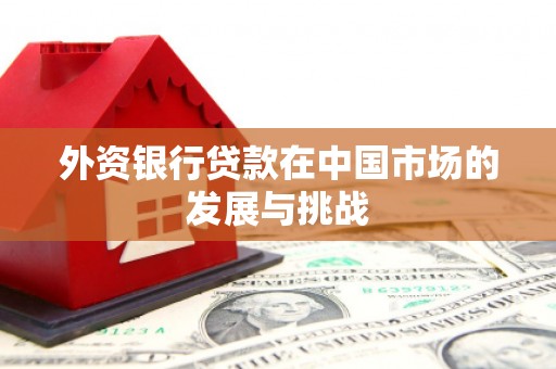 宜章外资银行贷款在中国市场的发展与挑战