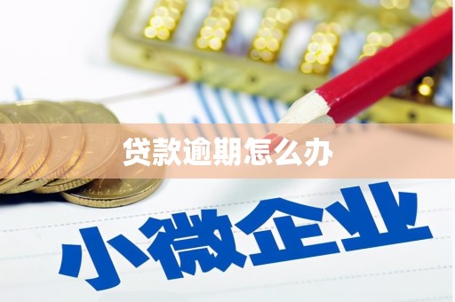宜章贷款逾期怎么办