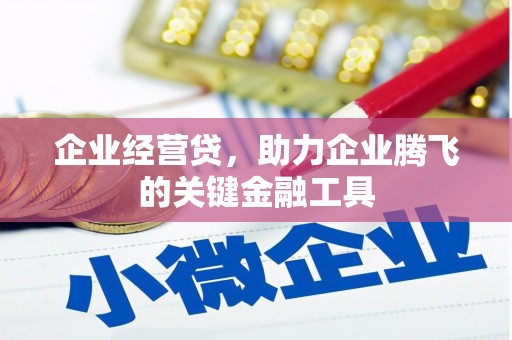 宜章企业经营贷，助力企业腾飞的关键金融工具