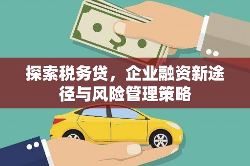 宜章探索税务贷，企业融资新途径与风险管理策略