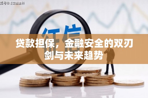 宜章贷款担保，金融安全的双刃剑与未来趋势