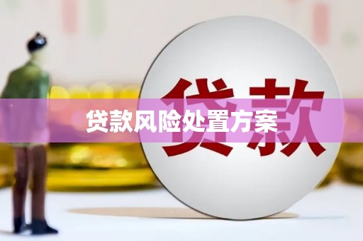 宜章贷款风险处置方案