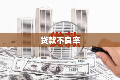 宜章贷款不良率