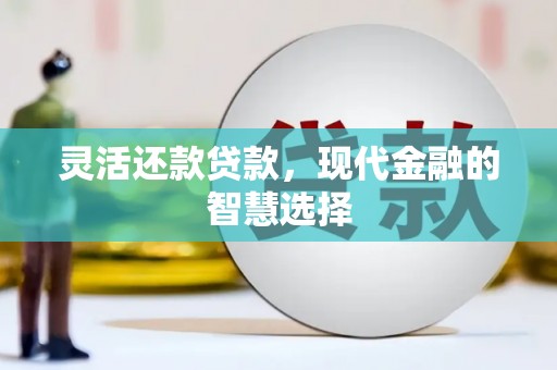 宜章灵活还款贷款，现代金融的智慧选择