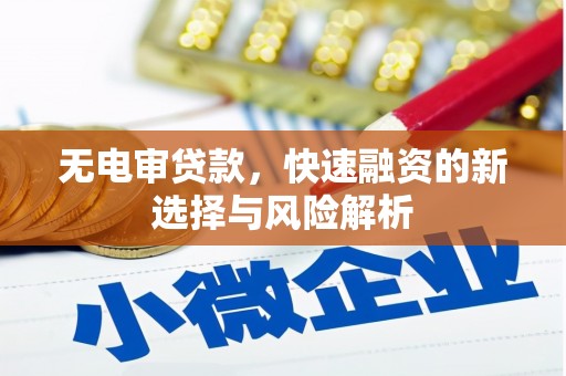宜章无电审贷款，快速融资的新选择与风险解析
