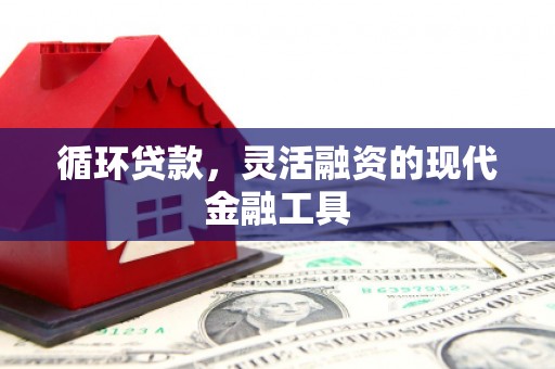 宜章循环贷款，灵活融资的现代金融工具