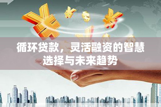 宜章循环贷款，灵活融资的智慧选择与未来趋势