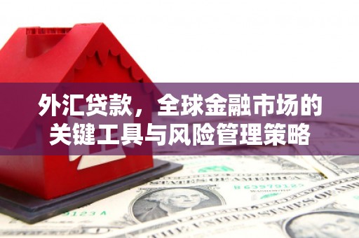 宜章外汇贷款，全球金融市场的关键工具与风险管理策略