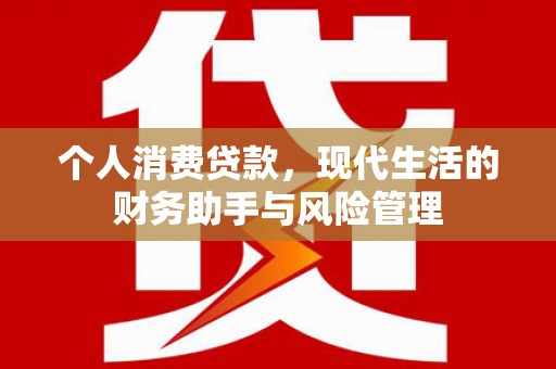 宜章个人消费贷款，现代生活的财务助手与风险管理