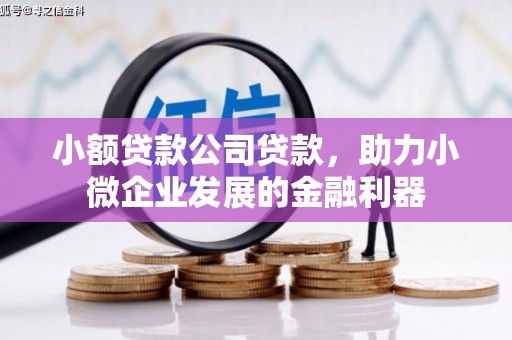 宜章小额贷款公司贷款，助力小微企业发展的金融利器