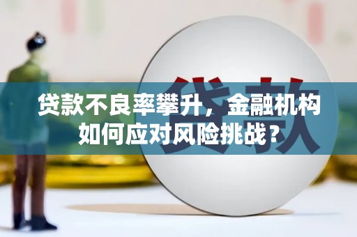 宜章贷款不良率攀升，金融机构如何应对风险挑战？