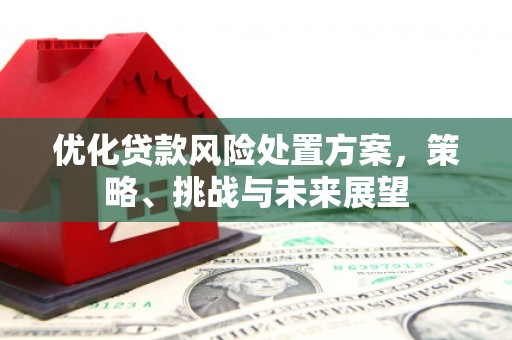 宜章优化贷款风险处置方案，策略、挑战与未来展望
