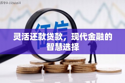 宜章灵活还款贷款，现代金融的智慧选择