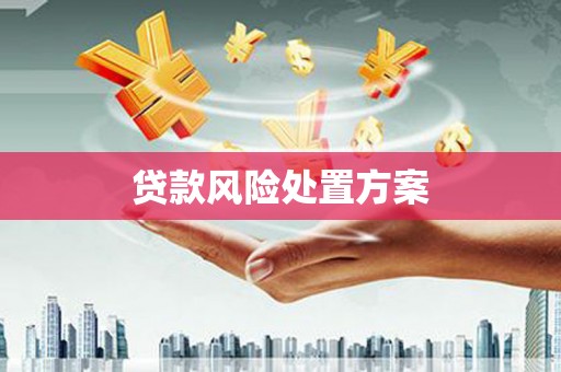 宜章贷款风险处置方案