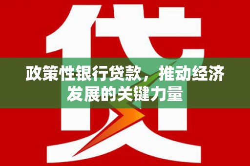 宜章政策性银行贷款，推动经济发展的关键力量