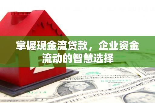 宜章掌握现金流贷款，企业资金流动的智慧选择