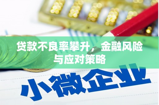 宜章贷款不良率攀升，金融风险与应对策略