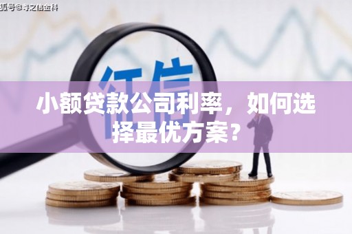 宜章小额贷款公司利率，如何选择最优方案？