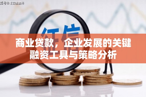 宜章商业贷款，企业发展的关键融资工具与策略分析