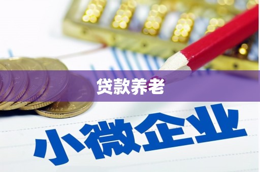 宜章贷款养老