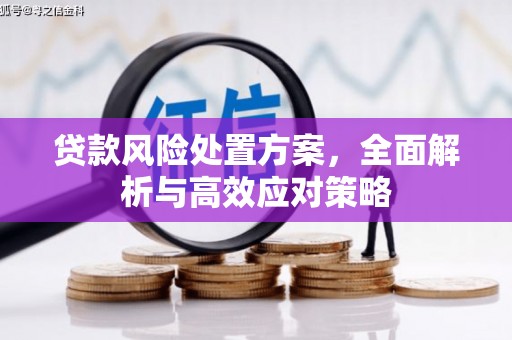宜章贷款风险处置方案，全面解析与高效应对策略