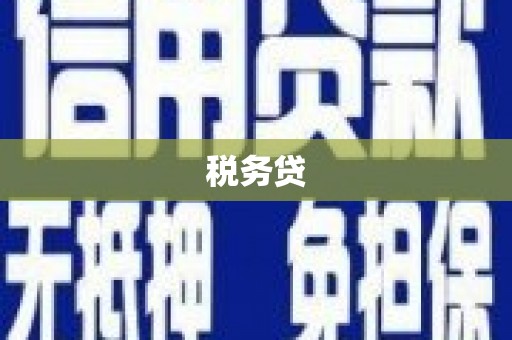 宜章税务贷