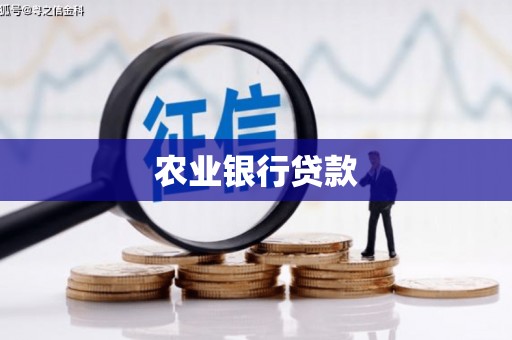 宜章农业银行贷款