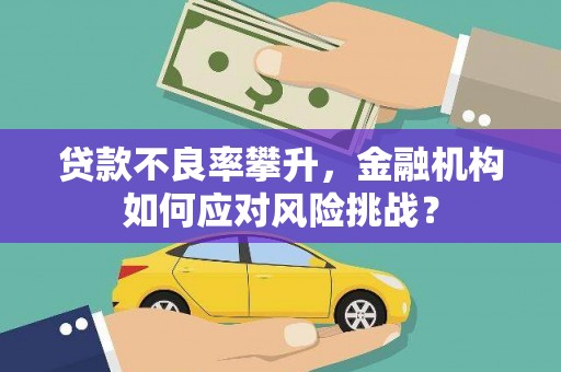 宜章贷款不良率攀升，金融机构如何应对风险挑战？