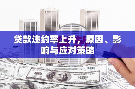 宜章贷款违约率上升，原因、影响与应对策略