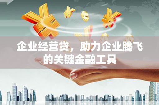 宜章企业经营贷，助力企业腾飞的关键金融工具