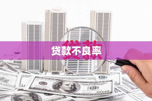 宜章贷款不良率
