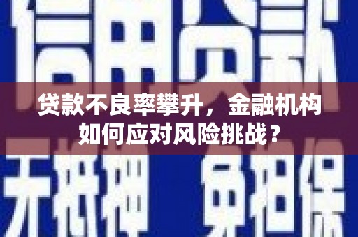 宜章贷款不良率攀升，金融机构如何应对风险挑战？
