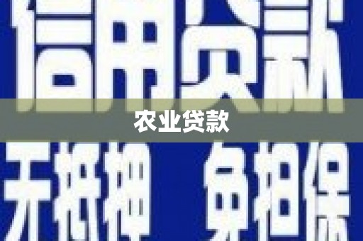 宜章农业贷款