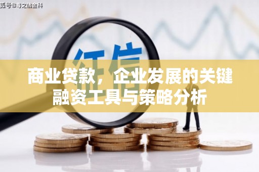 宜章商业贷款，企业发展的关键融资工具与策略分析