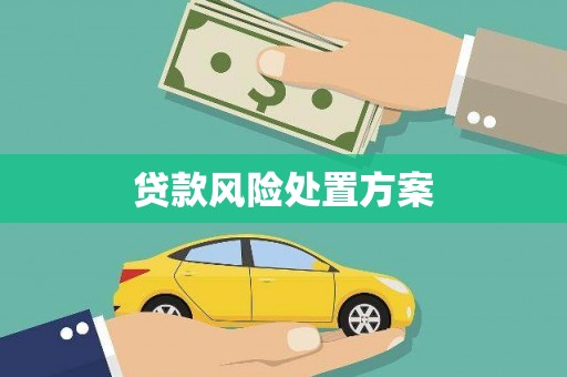 宜章贷款风险处置方案