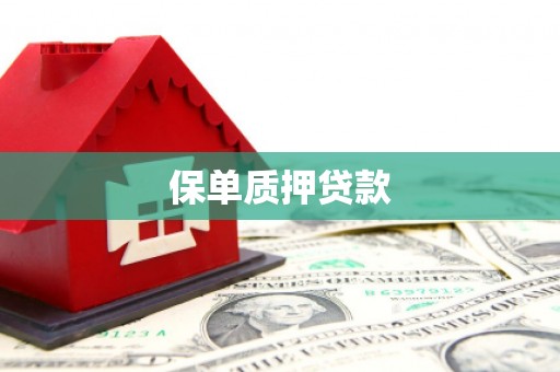 宜章保单质押贷款