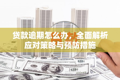宜章贷款逾期怎么办，全面解析应对策略与预防措施