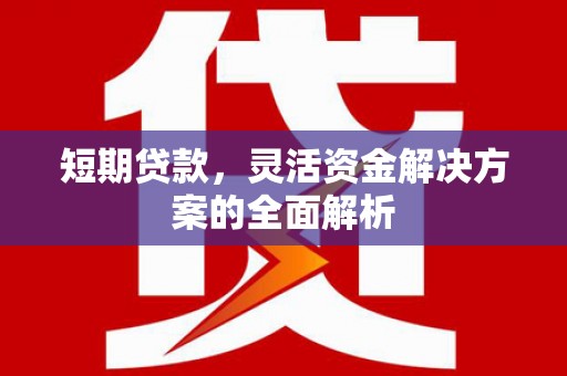 宜章短期贷款，灵活资金解决方案的全面解析