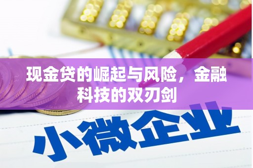宜章现金贷的崛起与风险，金融科技的双刃剑