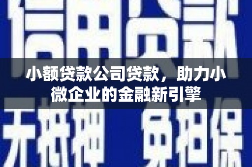 宜章小额贷款公司贷款，助力小微企业的金融新引擎