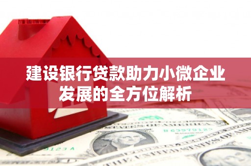 宜章建设银行贷款助力小微企业发展的全方位解析